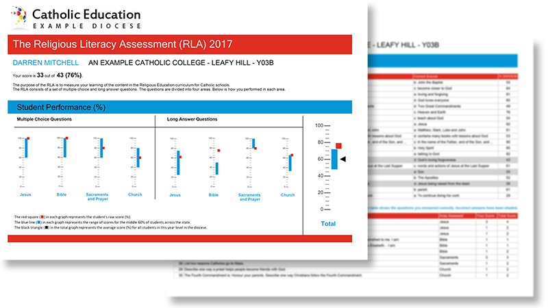 Assessment Sample Image